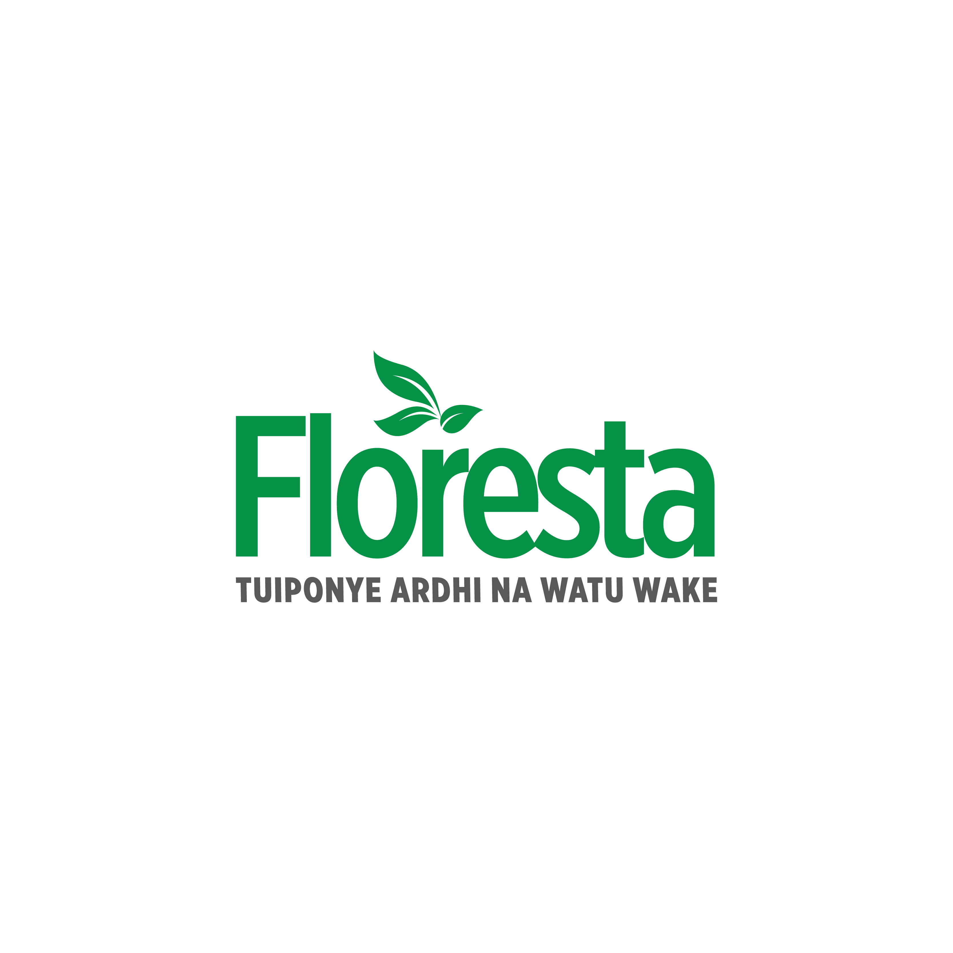 Floresta Tanzania